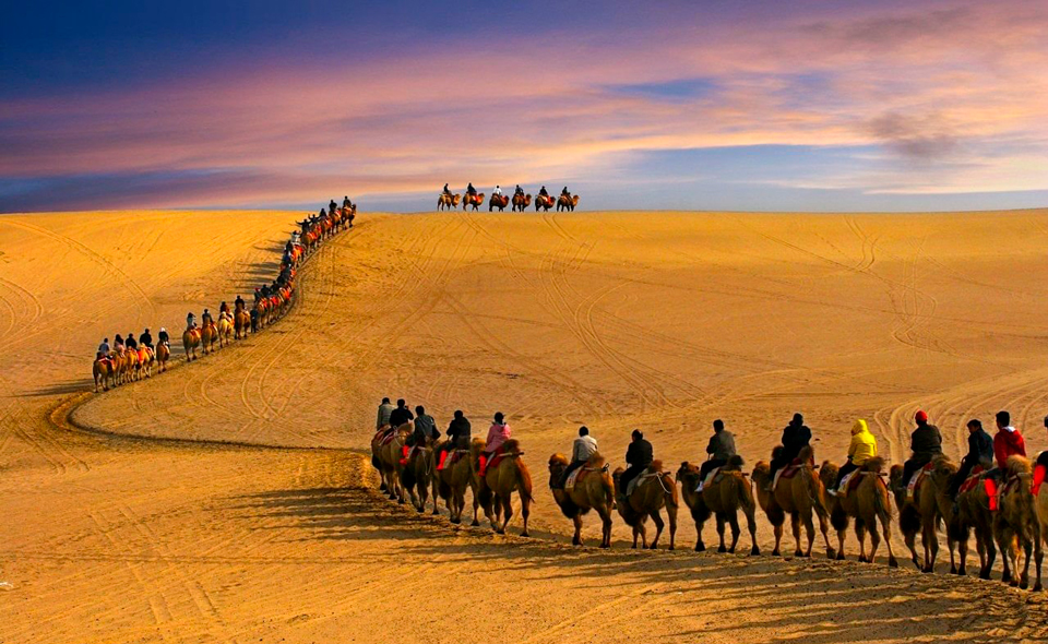 Верблюды и торговая жилка. Как Узбекистан помогал развитию Великого шелкового пути 