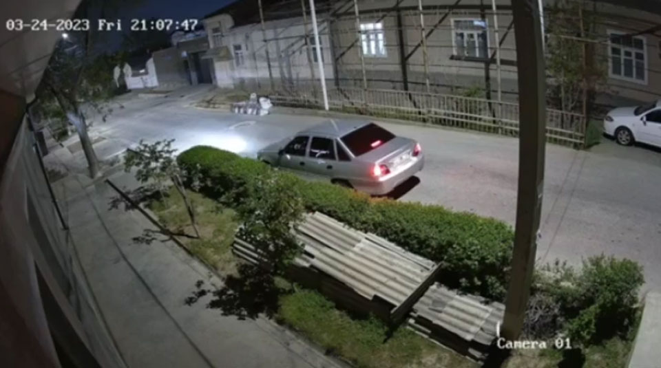 Как найти клад. Видеокамера в Ташкенте засекла в одном месте 28 граждан, что-то искавших в кустах  